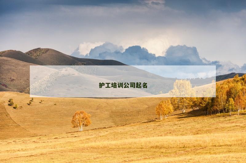 护工培训公司起名