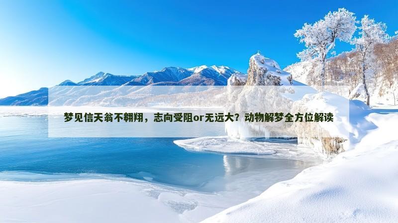 梦见信天翁不翱翔，志向受阻or无远大？动物解梦全方位解读