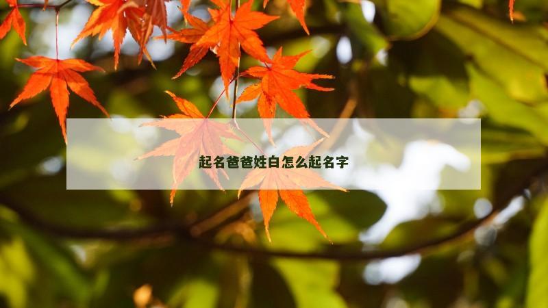 起名爸爸姓白怎么起名字
