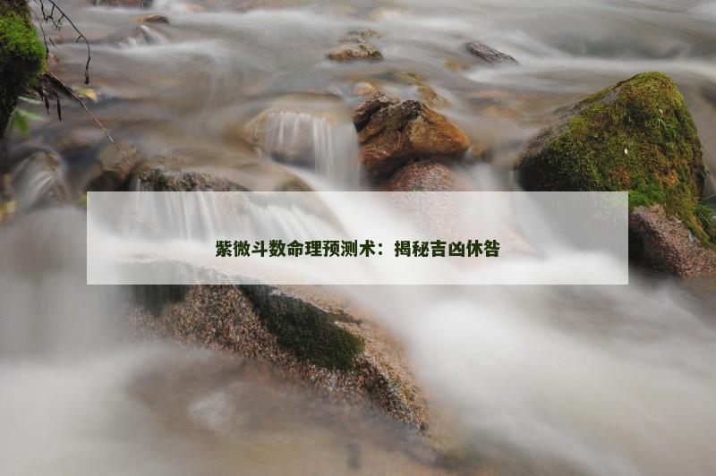 紫微斗数命理预测术：揭秘吉凶休咎