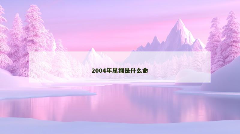 2004年属猴是什么命