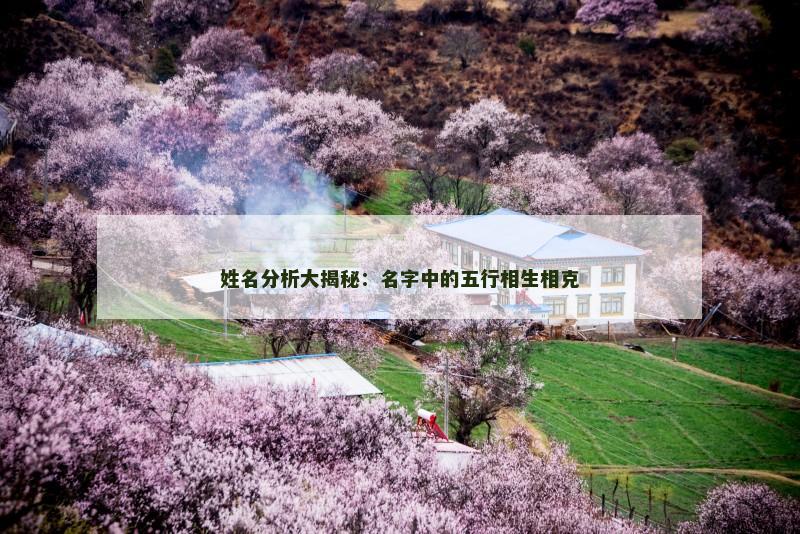 姓名分析大揭秘：名字中的五行相生相克