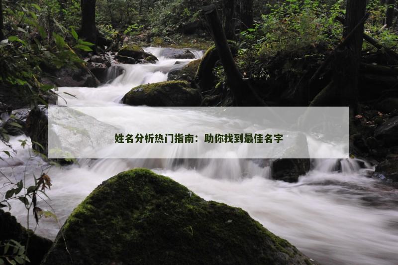 姓名分析热门指南：助你找到最佳名字