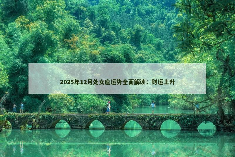 2025年12月处女座运势全面解读：财运上升
