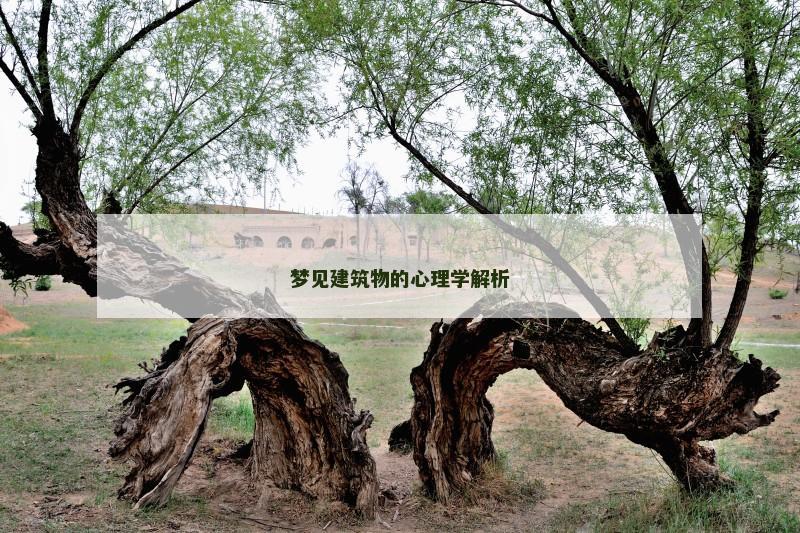 梦见建筑物的心理学解析