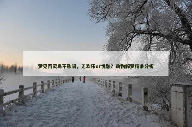梦见百灵鸟不歌唱，无欢乐or忧愁？动物解梦精准分析