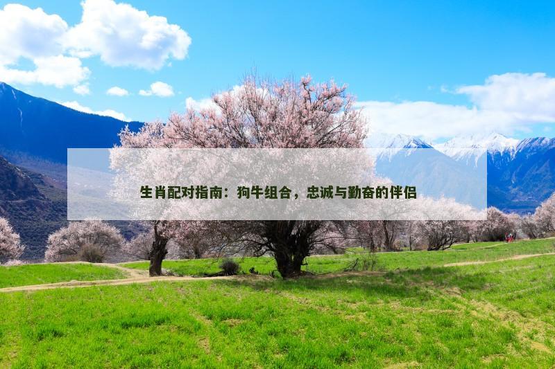 生肖配对指南：狗牛组合，忠诚与勤奋的伴侣
