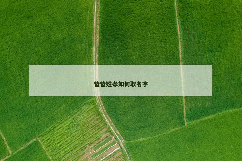 爸爸姓孝如何取名字