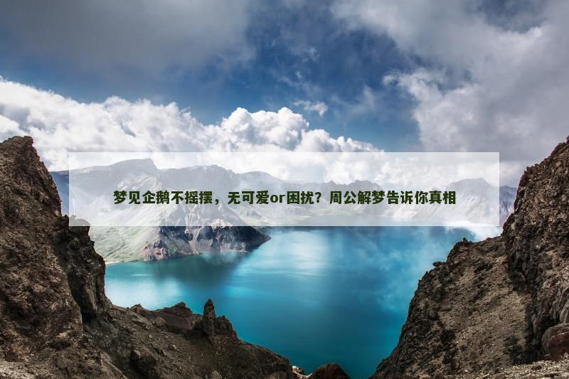 梦见企鹅不摇摆，无可爱or困扰？周公解梦告诉你真相