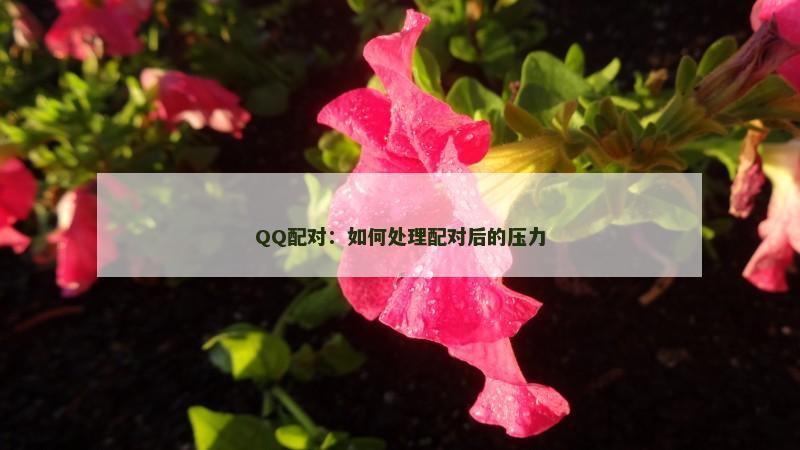 QQ配对：如何处理配对后的压力
