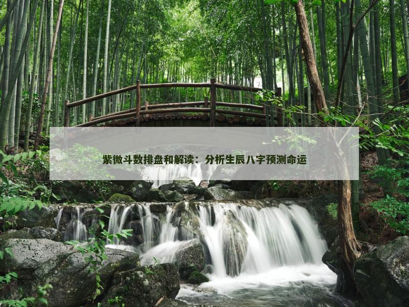 紫微斗数排盘和解读：分析生辰八字预测命运