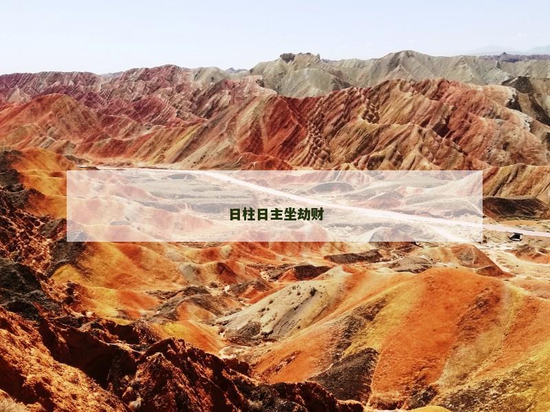 日柱日主坐劫财