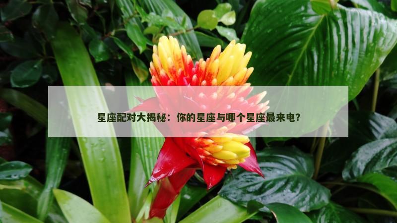 星座配对大揭秘：你的星座与哪个星座最来电？