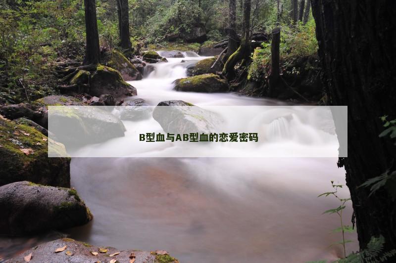 B型血与AB型血的恋爱密码