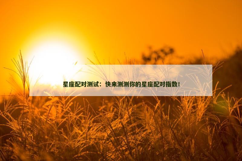 星座配对测试：快来测测你的星座配对指数！