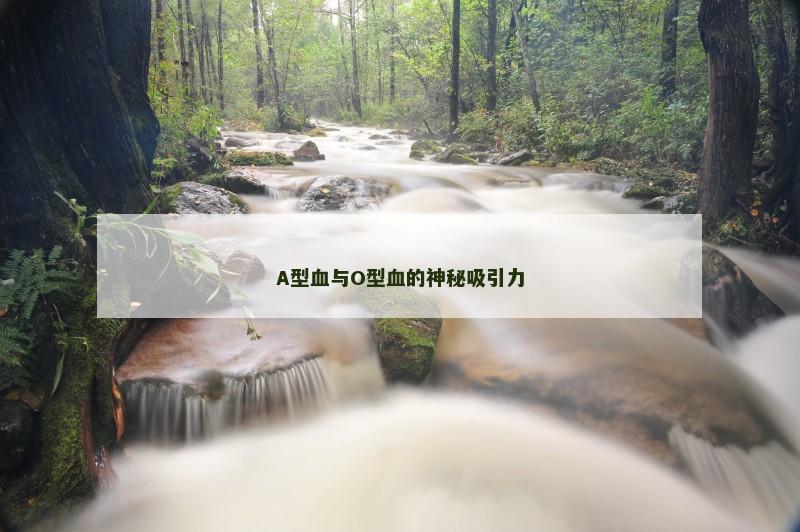 A型血与O型血的神秘吸引力
