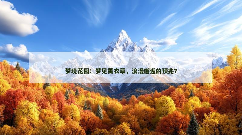 梦境花园：梦见薰衣草，浪漫邂逅的预兆？