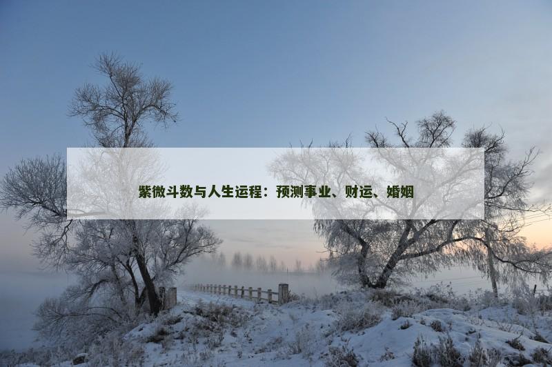 紫微斗数与人生运程：预测事业、财运、婚姻