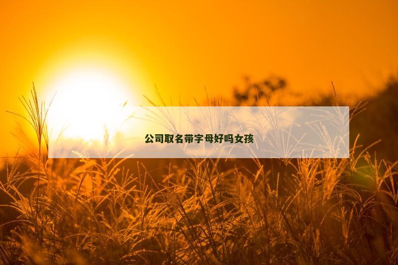 公司取名带字母好吗女孩