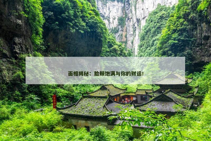 面相揭秘：脸颊饱满与你的财运！