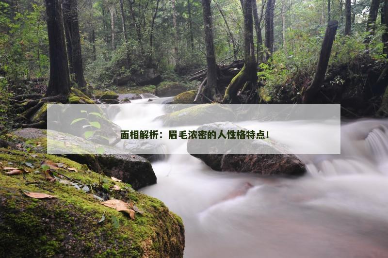 面相解析：眉毛浓密的人性格特点！