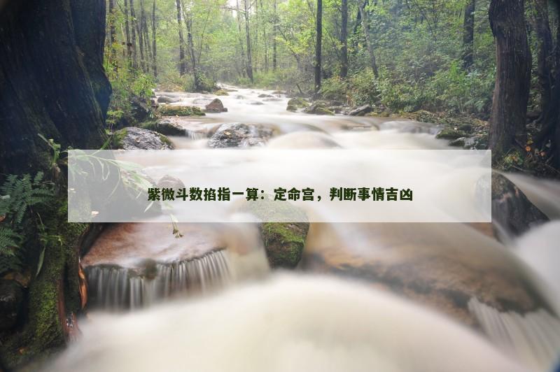 紫微斗数掐指一算：定命宫，判断事情吉凶