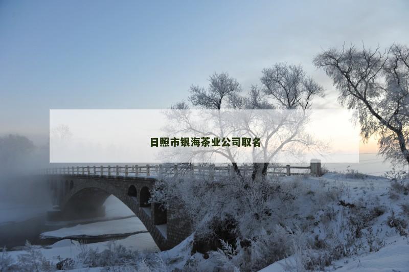 日照市银海茶业公司取名