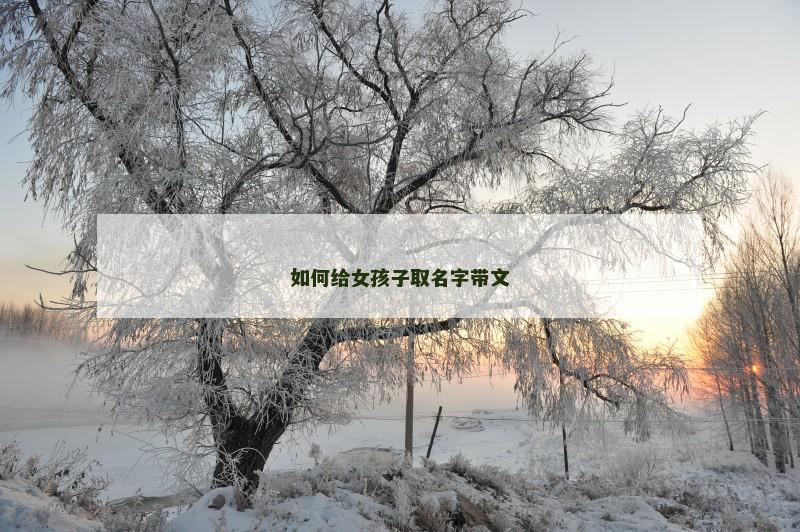 如何给女孩子取名字带文