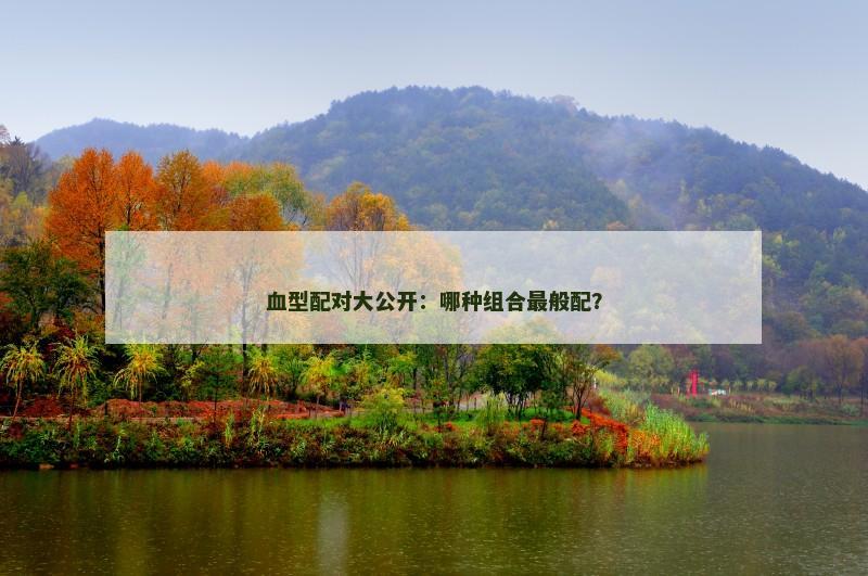 血型配对大公开：哪种组合最般配？