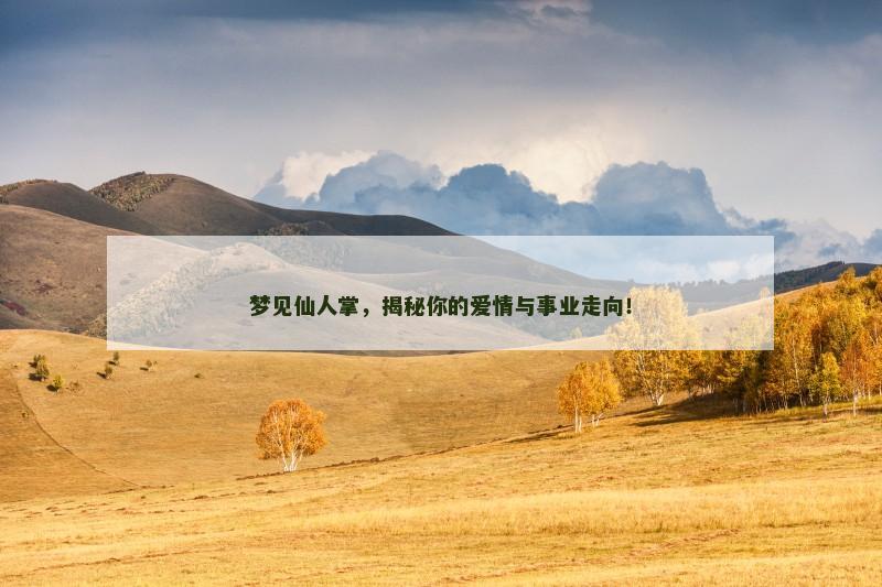 梦见仙人掌，揭秘你的爱情与事业走向！