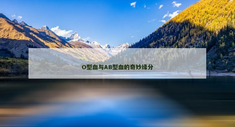 O型血与AB型血的奇妙缘分