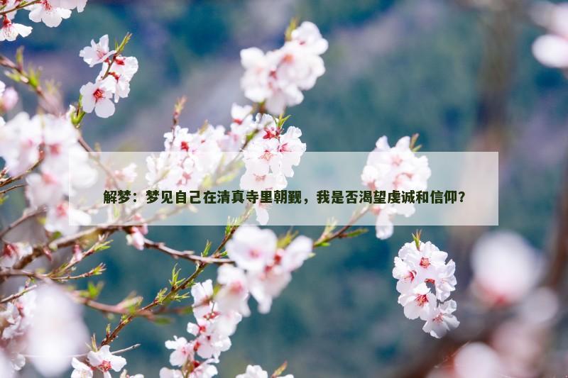 解梦：梦见自己在清真寺里朝觐，我是否渴望虔诚和信仰？