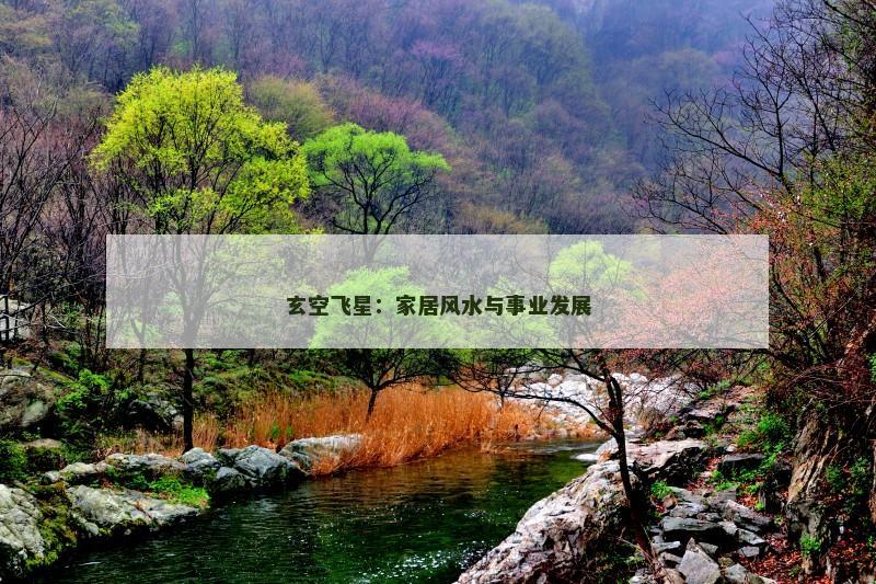 玄空飞星：家居风水与事业发展