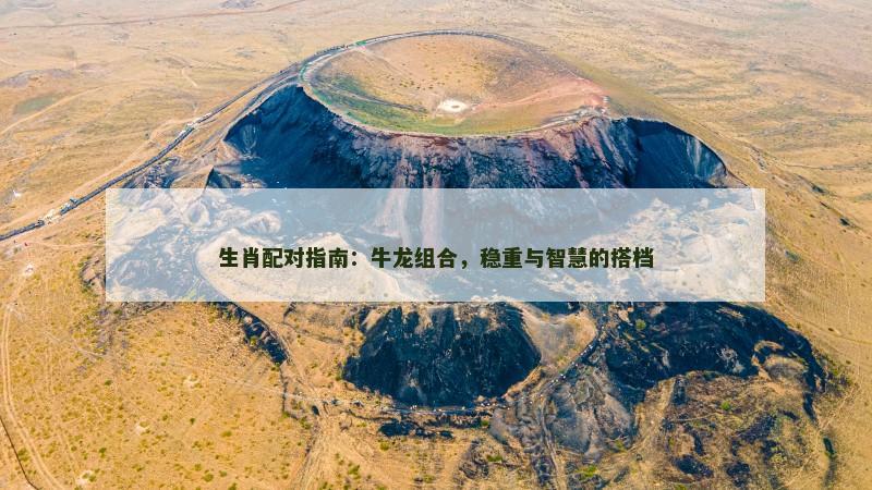 生肖配对指南：牛龙组合，稳重与智慧的搭档