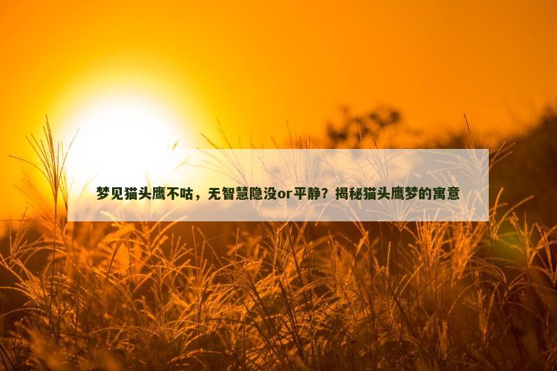 梦见猫头鹰不咕，无智慧隐没or平静？揭秘猫头鹰梦的寓意