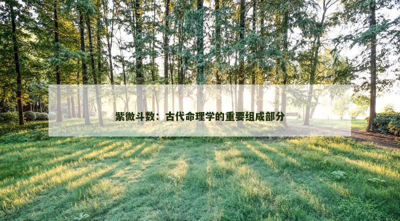 紫微斗数：古代命理学的重要组成部分