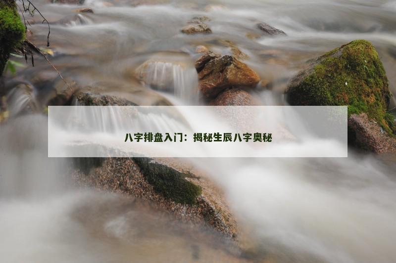 八字排盘入门：揭秘生辰八字奥秘