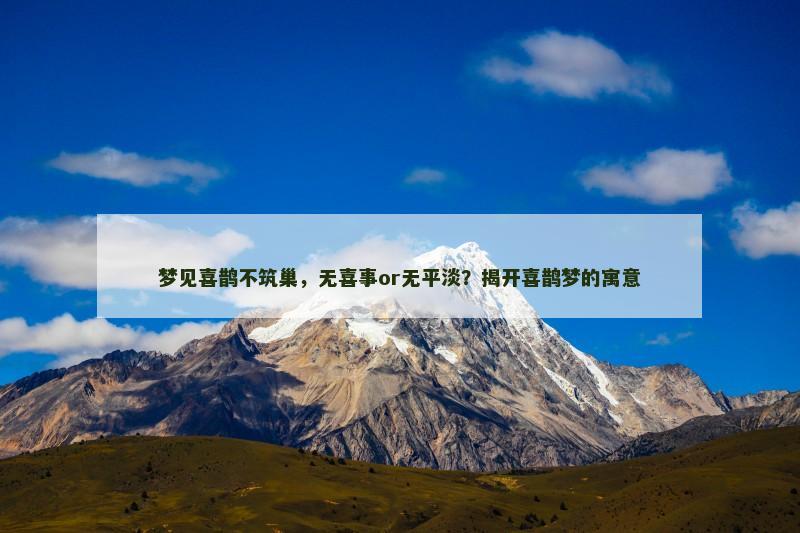 梦见喜鹊不筑巢,无喜事or无平淡?揭开喜鹊梦的寓意 梦见喜鹊不筑巢,无喜事or无平淡?揭开喜鹊梦的寓意