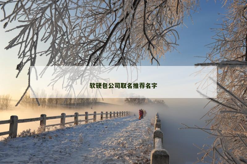 软硬包公司取名推荐名字