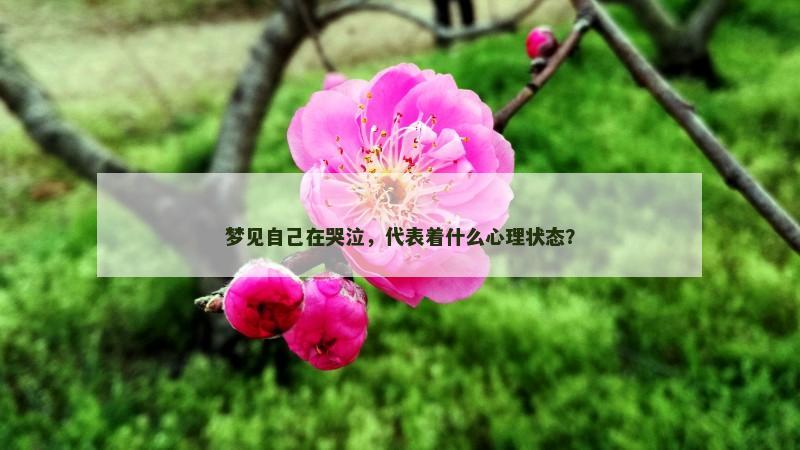 梦见自己在哭泣，代表着什么心理状态？