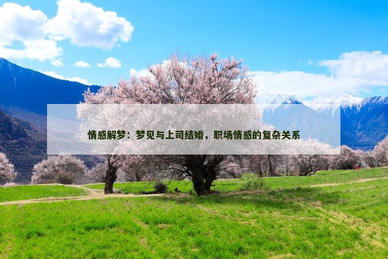 情感解梦：梦见与上司结婚，职场情感的复杂关系