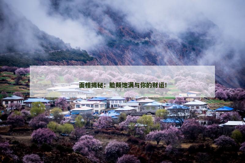 面相揭秘：脸颊饱满与你的财运！