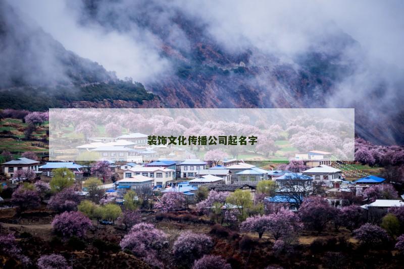 装饰文化传播公司起名字