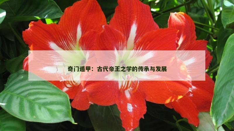奇门遁甲：古代帝王之学的传承与发展