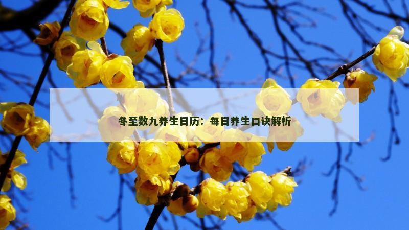 冬至数九养生日历：每日养生口诀解析