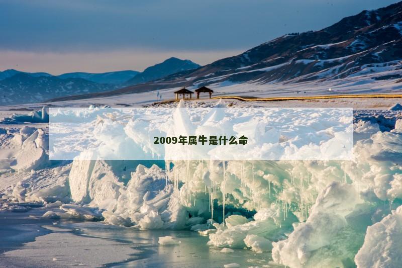 2009年属牛是什么命