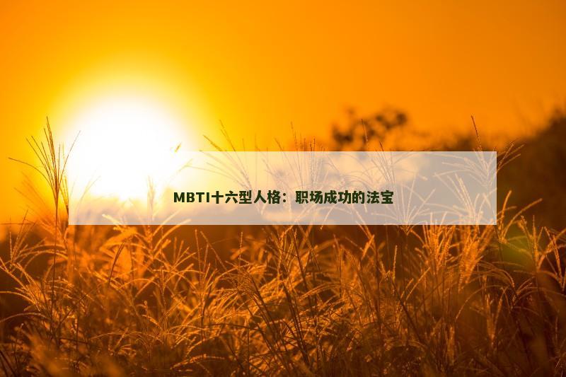 MBTI十六型人格：职场成功的法宝