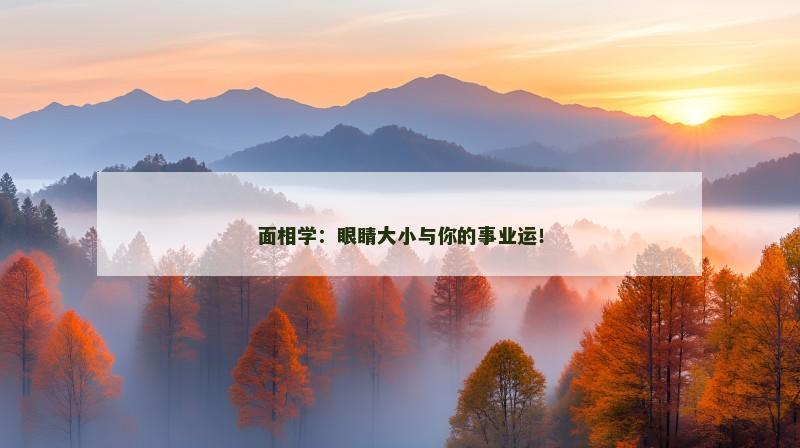 面相学：眼睛大小与你的事业运！