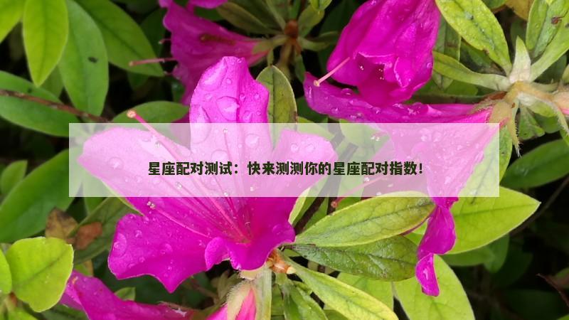星座配对测试：快来测测你的星座配对指数！