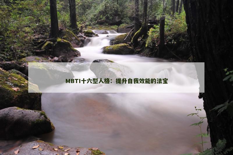 MBTI十六型人格：提升自我效能的法宝